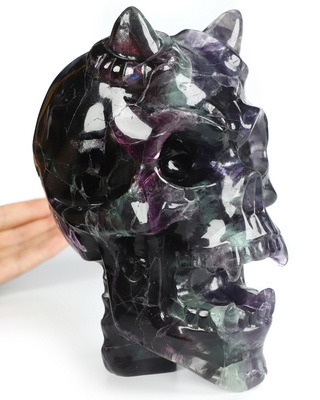Ring-Base Horned Skull - 6.4" Fluorite Hand Carved Crystal Skull Fine Art Sculpture, Crystal Healing