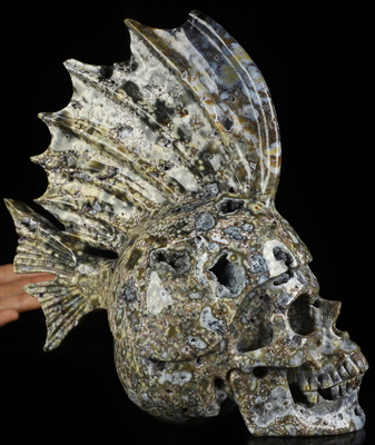 8.7" Blue Ocean AgateHand Carved Fish Crystal Skull Fine Art Sculpture, Crystal Healing
