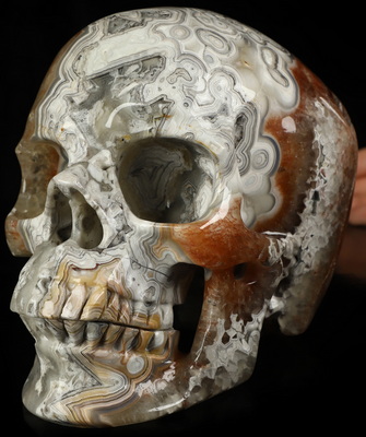Lifesized 6.9" Red Crazy Lace Agate Hand Carved Crystal Skull, Super Realistic, Crystal Healing
