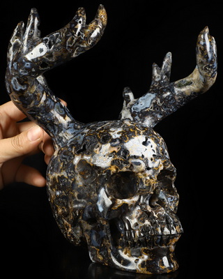 Aug 22, 2026 ACSAD (A Crystal Skull a Day) - Eikþyrnir's Crown - 8.3" Blue Ocean Agate Hand Carved Antlered Crystal Skull Fine Art Sculpture, Crystal Healing