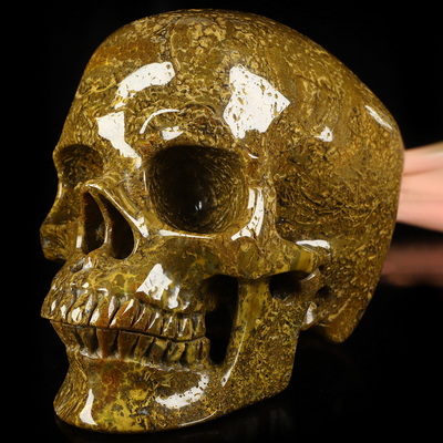 Lifesized 6.8" Ocean Jasper Hand Carved Crystal Skull, Super Realistic, Crystal Healing