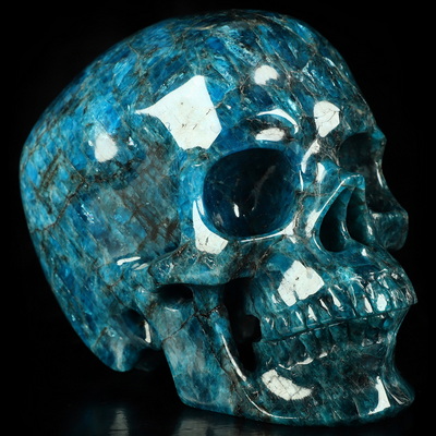 5.0" Blue Apatite Hand Carved Crystal Skull, Super Realistic, Crystal Healing