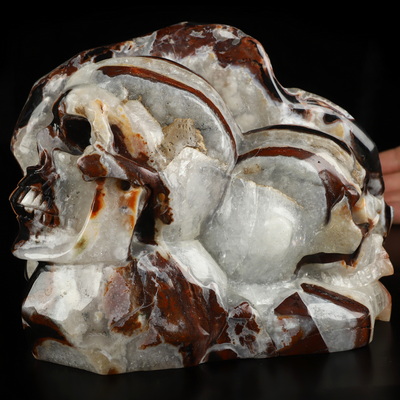 7.5" Black Zebra Agate Hand Carved Crystal Skull Fine Art Sculpture, Crystal Healing