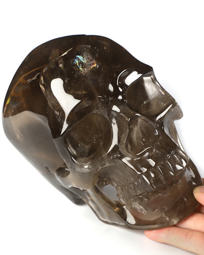 Sept 19, 2026 ACSAD (A Crystal Skull a Day) - A Shadow Made of Light - Lifesized 7.3" Smoky Quartz Rock Crystal Hand Carved Crystal Skull, Super Realistic, Crystal Healing