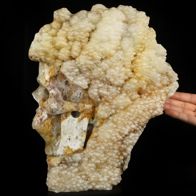 Sept 12, 2026 ACSAD (A Crystal Skull a Day) - Sif's Golden Tresses - 8.9" Botryoidal Agate Hand Carved Crystal Skull Fine Art Sculpture, Crystal Healing