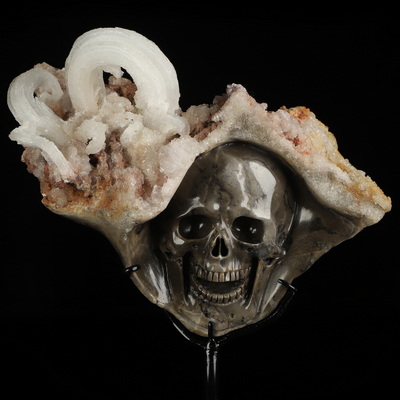 Oct 10, 2026 ACSAD (A Crystal Skull a Day) - Nature Has Other Plans - 6.0" Hand Carved Natural Ram's Horn Selenite Gypsum Specimen Crystal Skull on Matrix Fine Art Sculpture, Crystal Healing