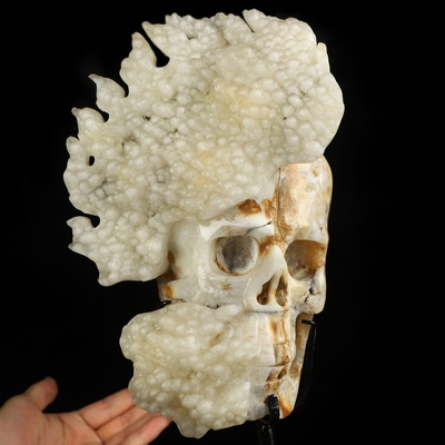 Oct 3, 2026 ACSAD (A Crystal Skull a Day) - Too Much to Think About - 7.8" Hand Carved Agate Botryoidal Chalcedony Crystal Skull Fine Art Sculpture, Crystal Healing