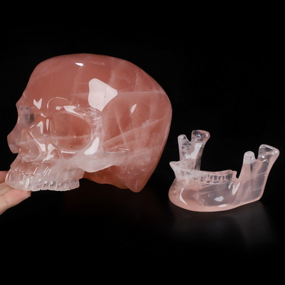 Sept 21, 2026 ACSAD (A Crystal Skull a Day) - The Shape of Belonging - 7.7" Rose Quartz Hand Carved Crystal Detachable Skull Sculpture, Crystal Healing