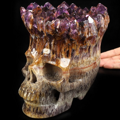 Oct 7, 2026 ACSAD (A Crystal Skull a Day) - What Remains Brilliant - Lifesized 8.1" Amethyst Cluster & Quartz Matrix Hand Carved Crystal Skull, Super Realistic, Crystal Healing
