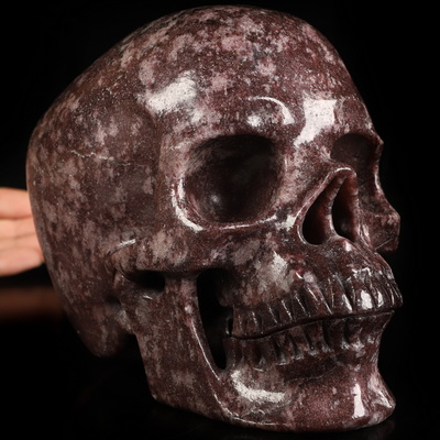 Lifesized 6.8" Lepidolite Hand Carved Crystal Skull, Super Realistic, Crystal Healing