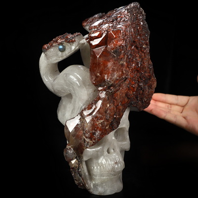 Oct 2, 2026 ACSAD (A Crystal Skull a Day) - The Stone Was Warm - 8.5" Red Quartz Hand Carved Serpent & Crystal Skull Sculpture With Labradorite Eyes, Crystal Healing