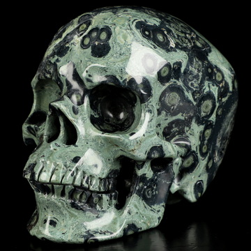 5.0" Kambaba Jasper Hand Carved Crystal Skull, Super Realistic, Crystal Healing