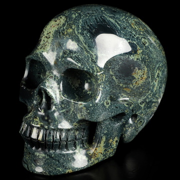 4.9" Kambaba Jasper Hand Carved Crystal Skull, Realistic, Crystal Healing