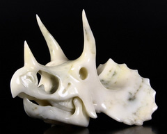 Titan 8.3" White Jade Carved Crystal Dinosaur Triceratops Skull