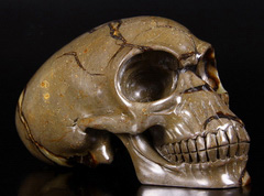 8.3" Dragon Septarian Stone Carved Elongated Mayan Alien Crystal Skull
