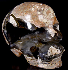 AMAZING UNIQUE GEODE GIANT 6.4" Dinosaur Egg Agate Carved Crystal Skull