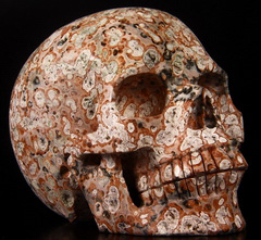 HUGE 5.2" Leopard Skin Jasper Carved Crystal Skull, Realistic