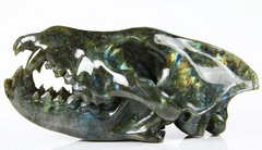 Giant 7.7" Labradorite Carved Crystal Wolf Skull