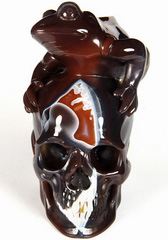 Mar 23, 2015 ACSAD (A Crystal Skull a Day) - Frog's Pawn - Mozambique Agate Carved Crystal Skull and Frog Sculpture