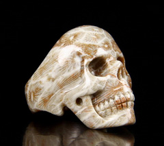 Size 11, Coral Fossil Carved Crystal Skull Ring