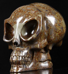 HUGE 5.3" Bamboo Stone Carved Crystal Alien Skull