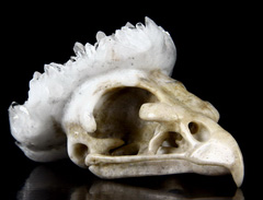 Unique Huge 5.0" Quartz Druse Carved Crystal Owl Skull