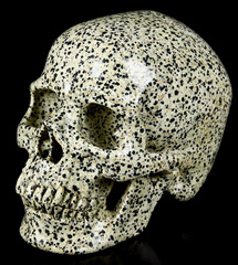 HUGE 7.4" Dalmatine Carved Crystal Skull, Super Realistic
