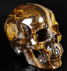 Awesome Flash Gemstone Lifesized 7.8" Gold Tiger Eye Carved Crystal Skull, Super Realistic