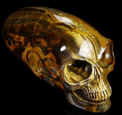 Awesome Flash Gemstone Titan 11.8" Gold Tiger Iron Eye Carved Elongated Mayan Alien Crystal Skull
