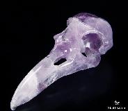 Huge 4.7" Amethyst Carved Crystal Raven Skull