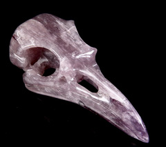 Huge 4.6" Amethyst Carved Crystal Raven Skull