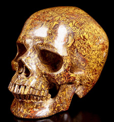 Huge 5.1" Elephant Skin Jasper aka Miriam Stone, Calligraphy Stone, Cobra Jasper Carved Crystal Skull, Super Realistic