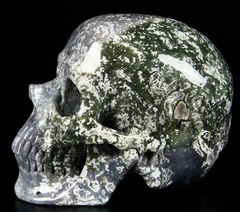 Huge 5.1" Green Moss Agate Carved Crystal Skull, Super Realistic