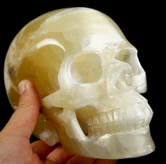 Amazing Flash Lifesized 6.5" Selenite Carved Crystal Skull, Realistic