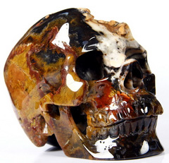 Huge 5.3" Black Zebra Agate Carved Crystal Skull