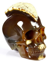 Huge 5.1" Carnelian Carved Crystal Skull