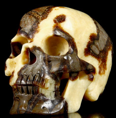 Huge 5.4" Dragon Septarian Stone Carved Crystal Skull, Super Realistic