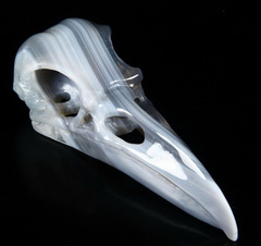 Huge 4.7" Gray & White Agate Carved Crystal Raven Skull, Crystal Healing