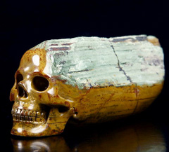 Huge 4.8" Petrified Wood Branch Carved Crystal Skull