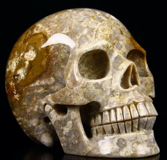 Huge 5.2" Coral Fossil Carved Crystal Skull, Realistic
