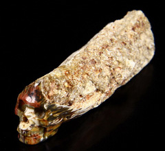 2.6" Petrified Wood Branch Carved Crystal Skull