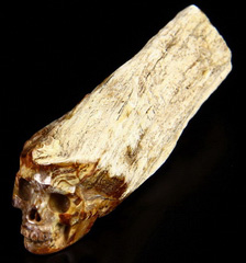 2.2" Petrified Wood Branch Carved Crystal Skull, Realistic