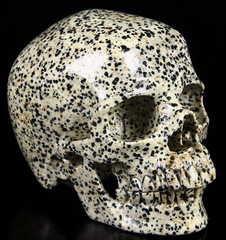 Huge 5.1" Dalmatian Jasper Carved Crystal Skull, Super Realistic