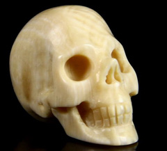 0.7" Fossil Ivory Carved Crystal Skull, Realistic