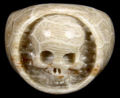 Size 8, Coral Fossil Carved Crystal Skull Ring