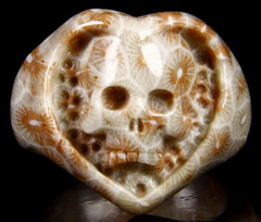 Gemstone Size 10 1/2, Coral Fossil Carved Crystal Skull Ring
