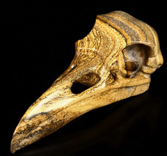 Huge 4.7" Picture Jasper Carved Crystal Raven Skull
