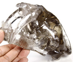 Huge 7.4" Smoky Quartz Rock Crystal Carved Crystal Smilodon SABER-TOOTHED Tiger/Cat Skull