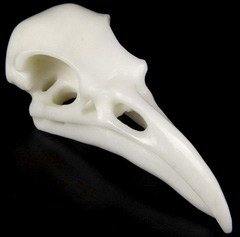 Huge 4.7" White Jade Carved Crystal Skull