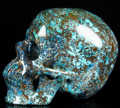 Gemstone Huge 4.9" American Chrysocolla Carved Crystal Skull, Super Realistic